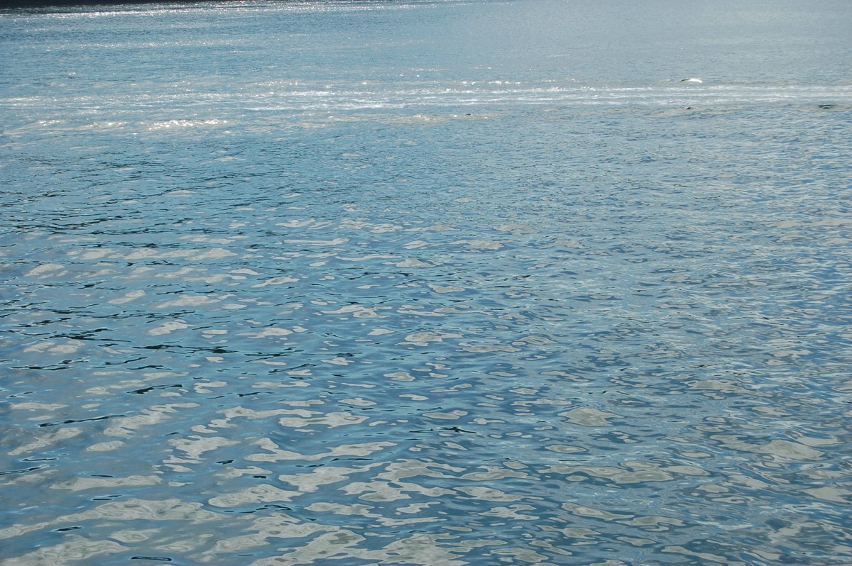 DSC_0072.JPG