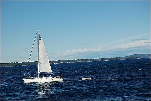 DSC_0082.JPG