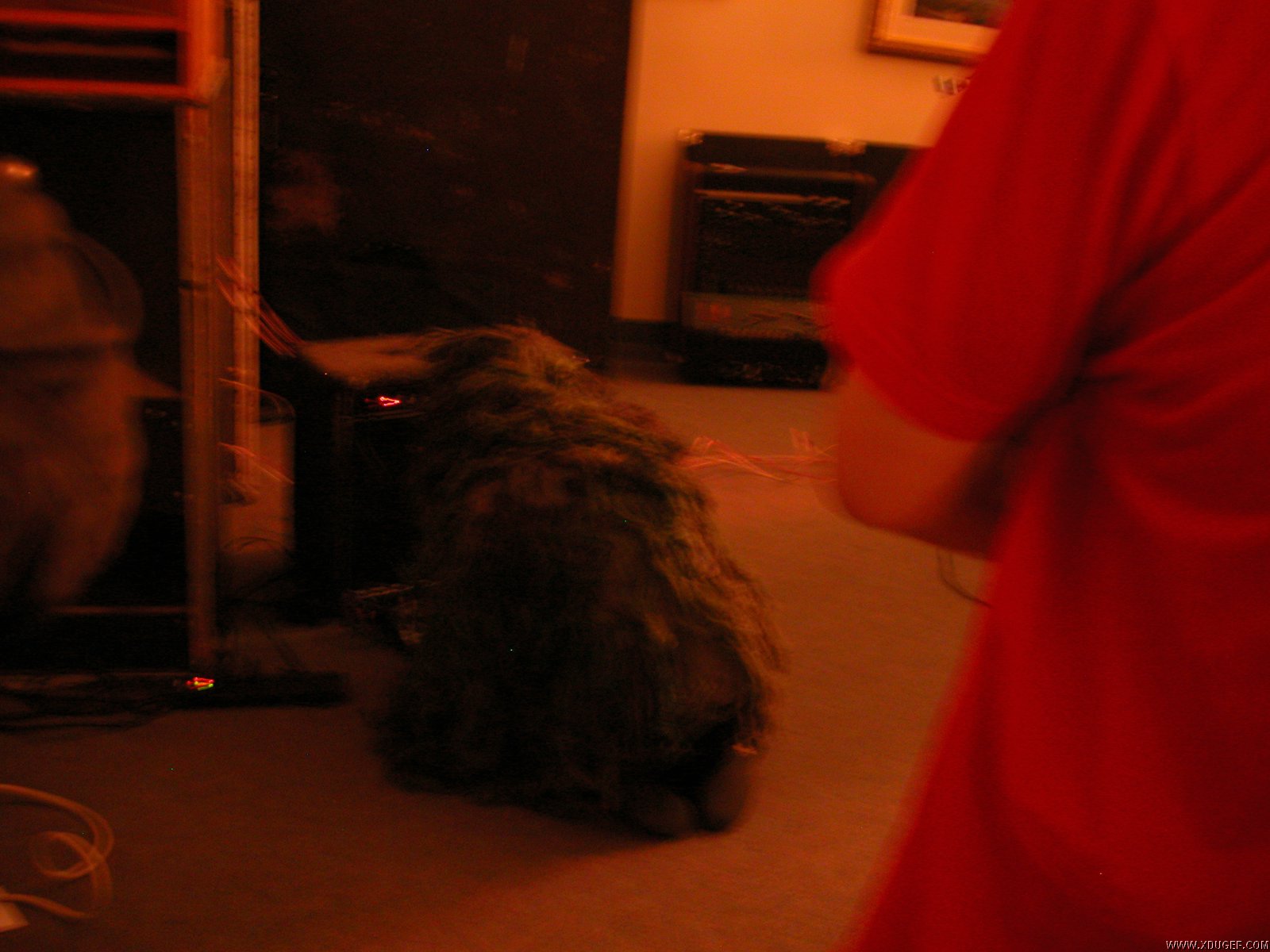 DSCN4175.JPG