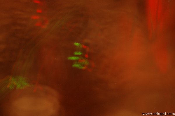 DSC_0255.JPG